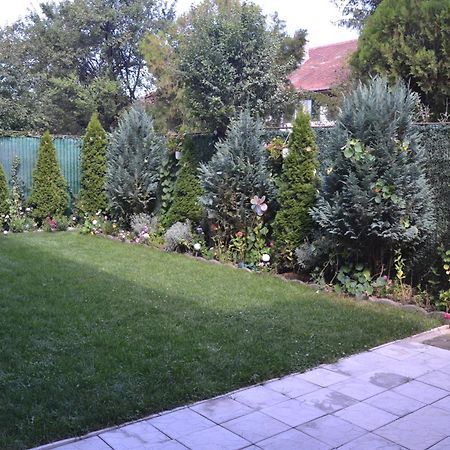 Gavri'S Relaxing Place Brasov Exterior photo